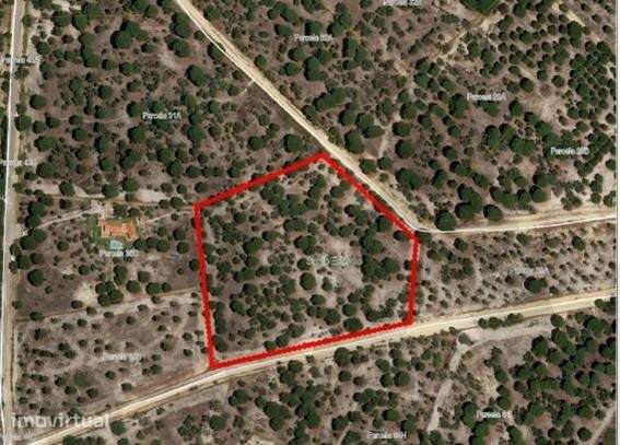 Exclusividade e Natureza: Terreno de Prestígio na Mata do Duque II - S