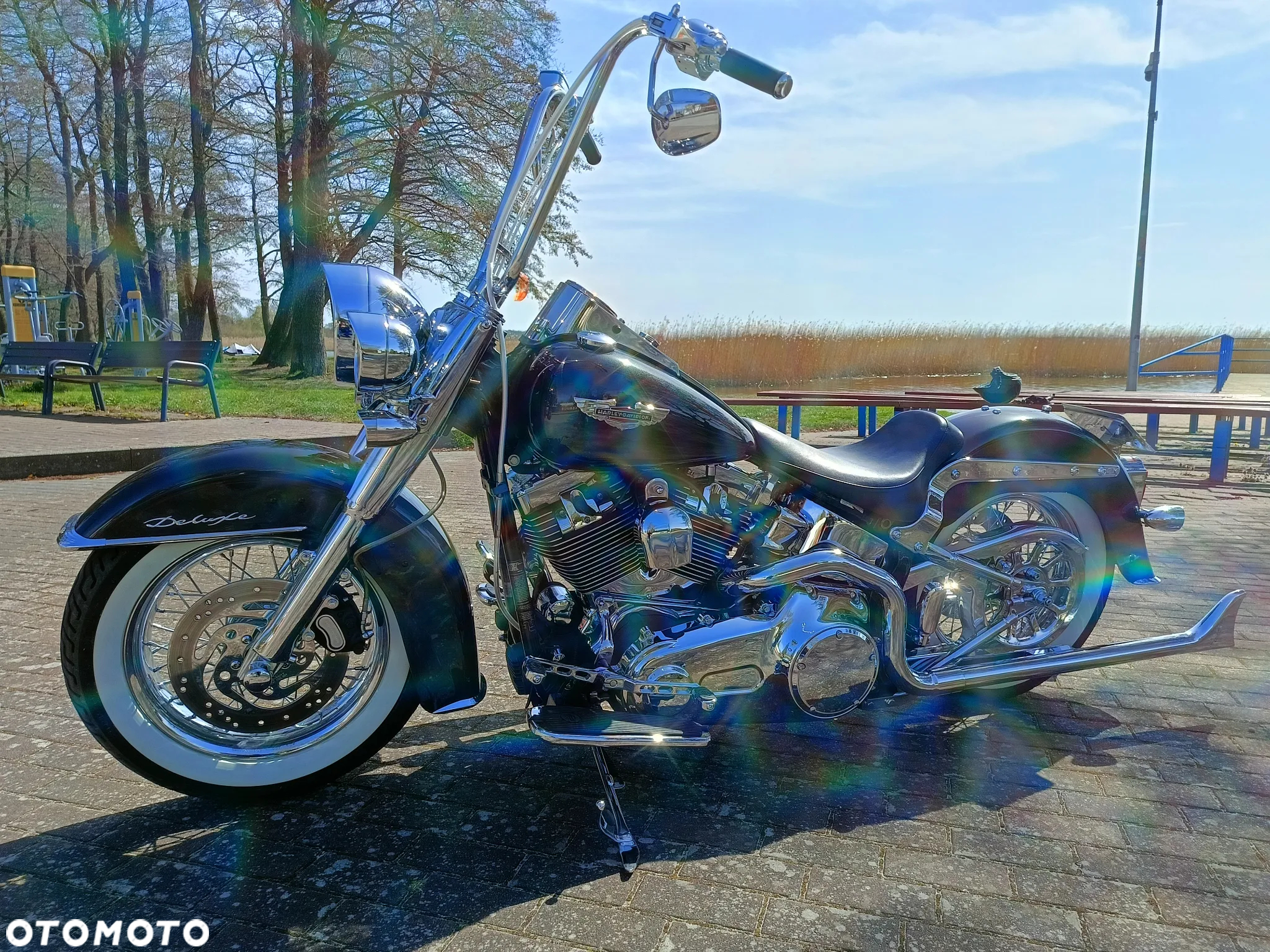 Harley-Davidson Softail Deluxe - 5