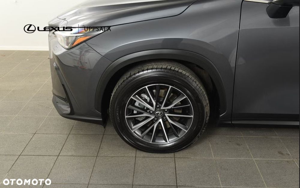 Lexus NX 450h+ E-FOUR Business - 17