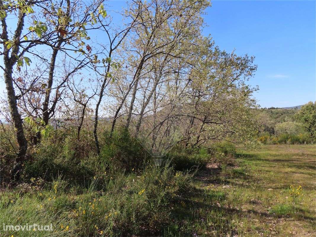 Quinta  para venda - Grande imagem: 2/22