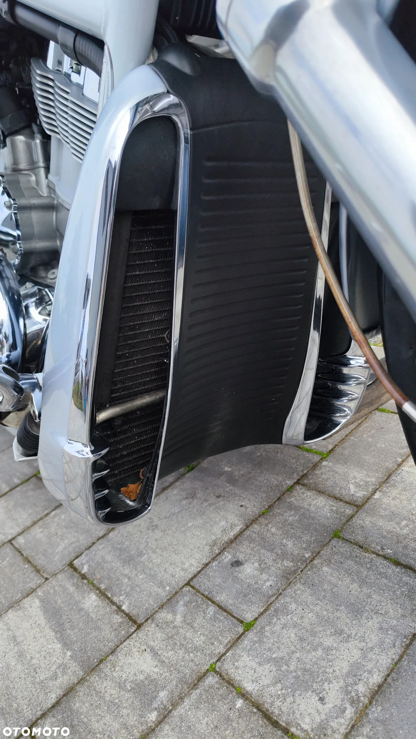 Harley-Davidson Softail V-Rod - 25