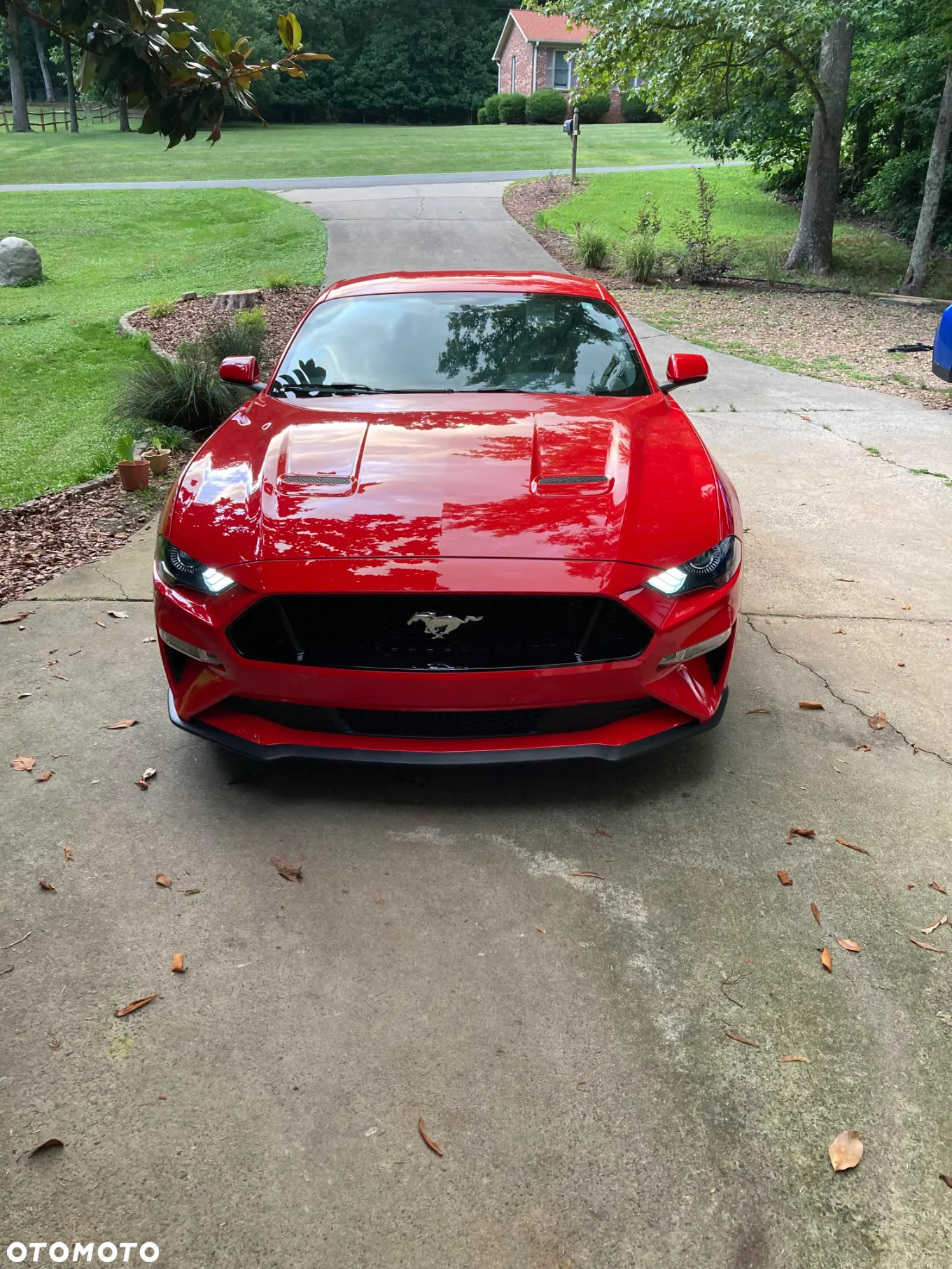 Ford Mustang Fastback 5.0 Ti-VCT V8 MACH1 - 25