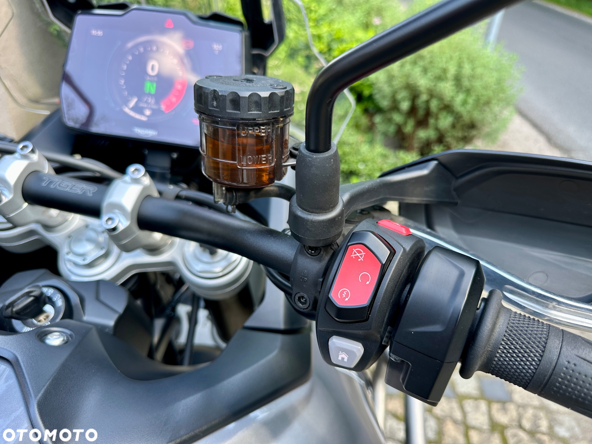 Triumph Tiger - 14