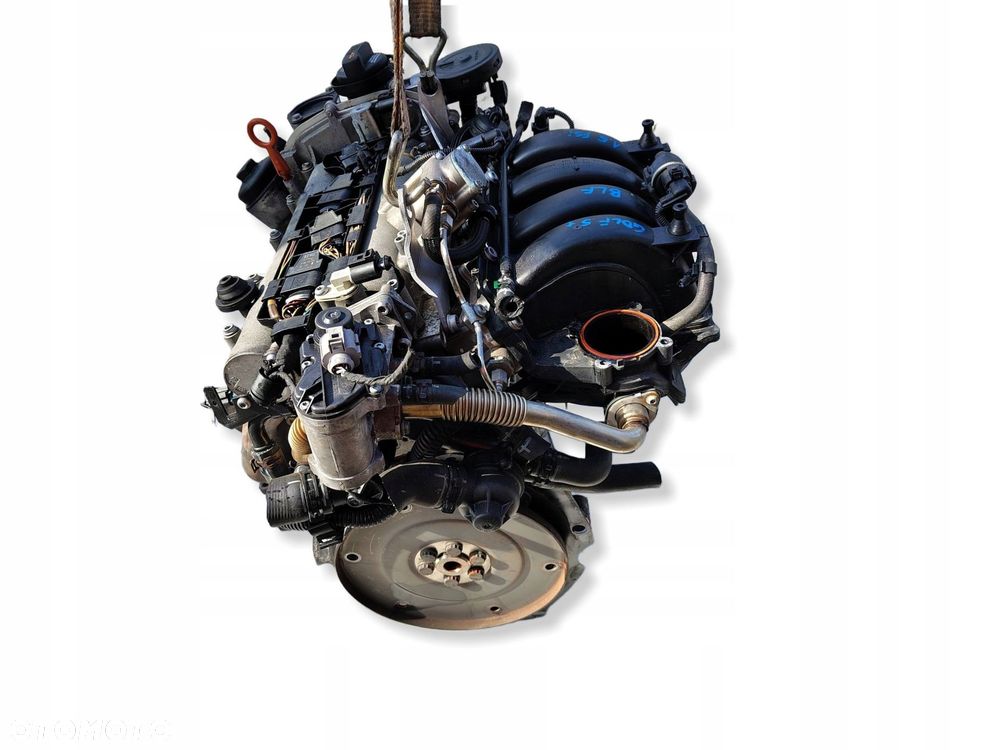 SILNIK KOMPLETNY BLF VOLKSWAGEN GOLF 5 V PLUS 1.6 FSI 101 TYŚ KM - 6