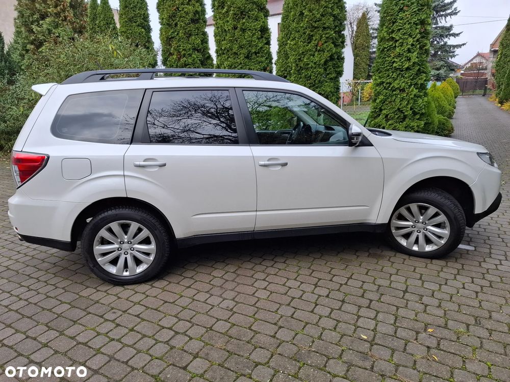 Subaru Forester - 3