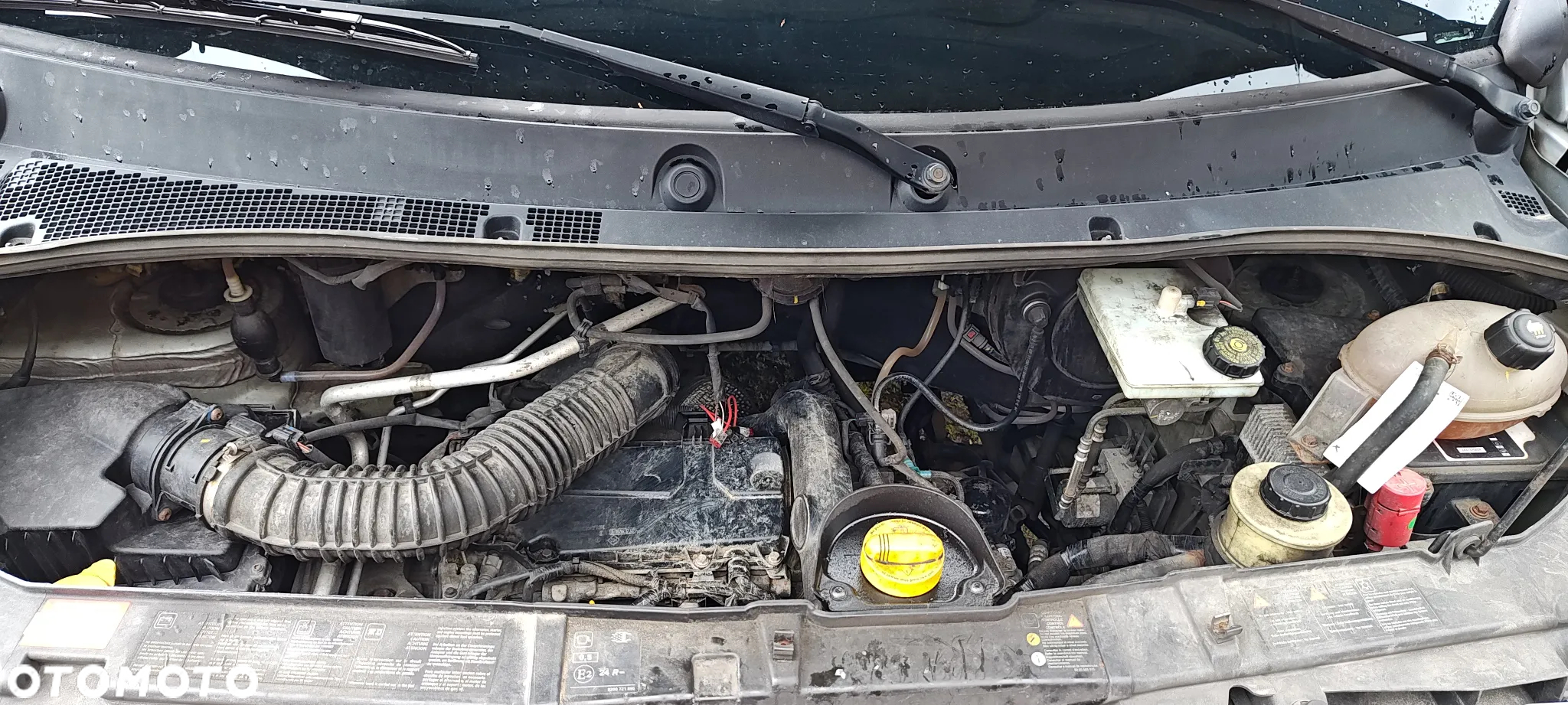 Renault Master - 25