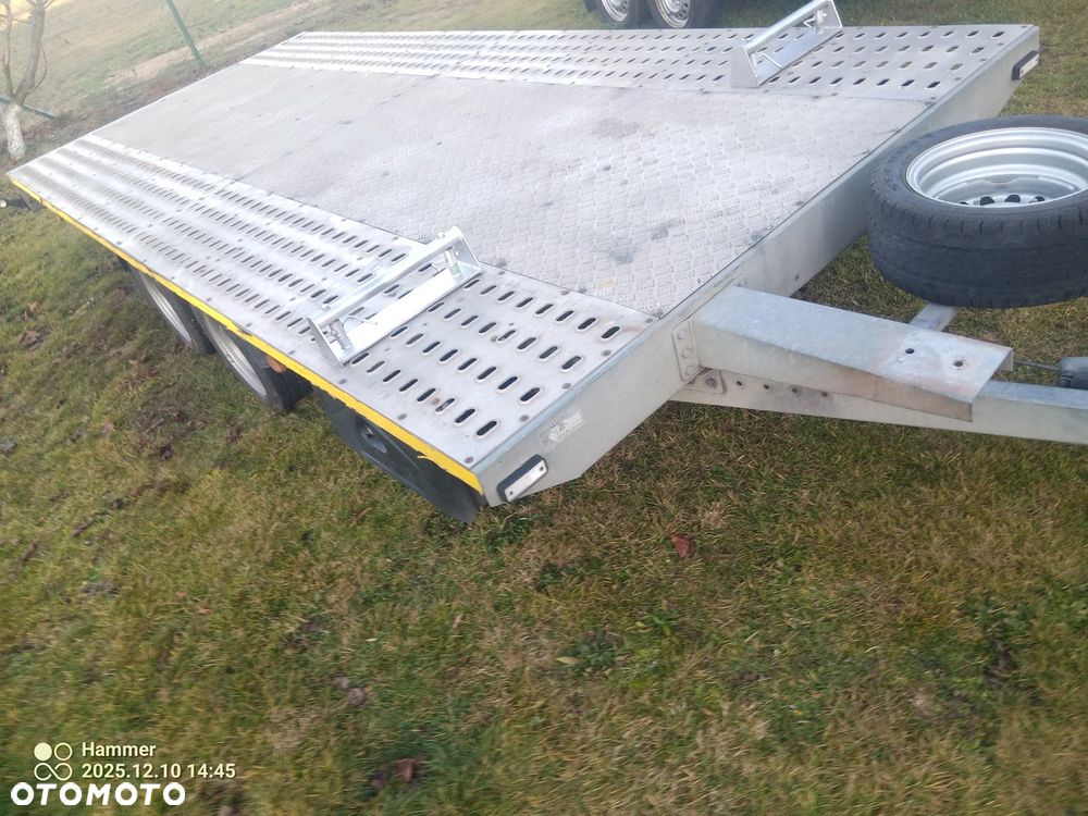 Niewiadów BORO MARS - 5