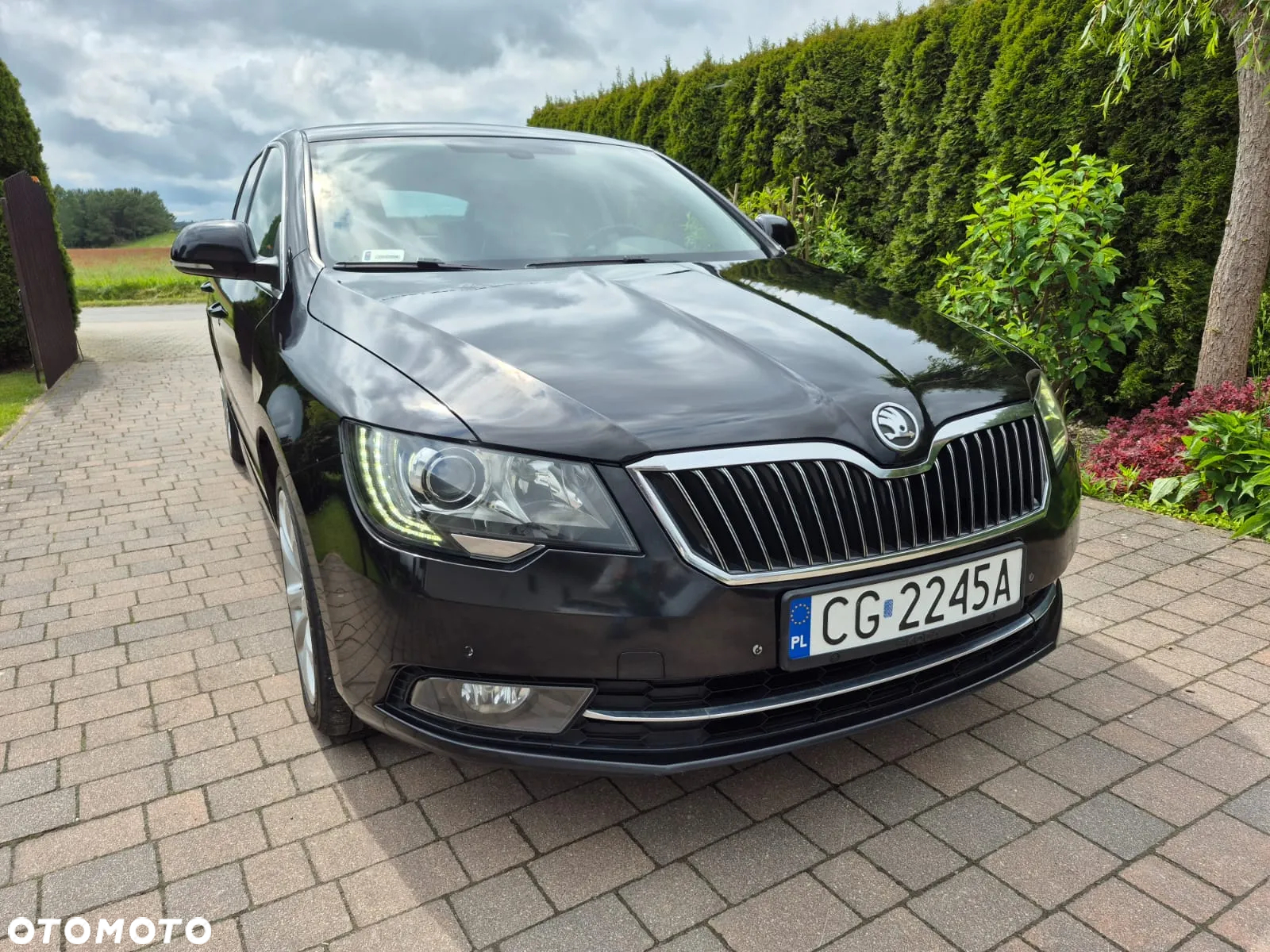 Skoda Superb 2.0 TDI Business DSG - 13