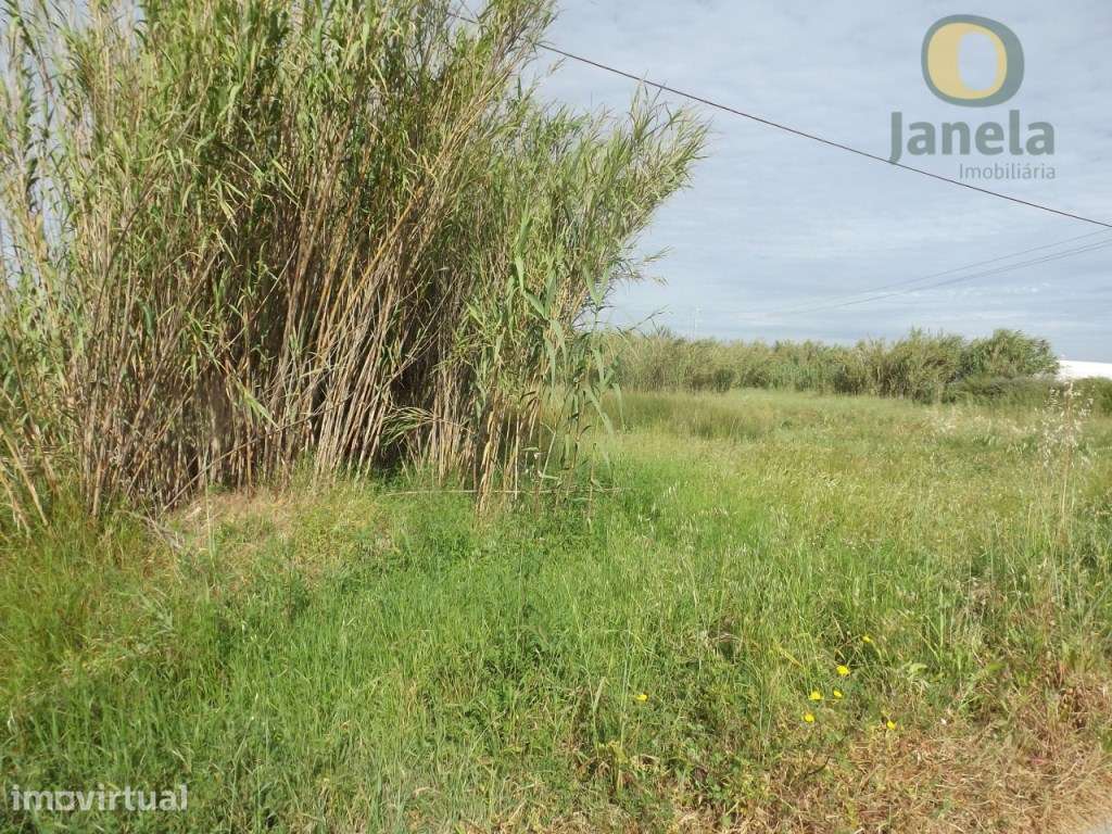 Terreno com 5160 m2 entre Faro e Olhao, perto da 125 - Grande imagem: 3/5