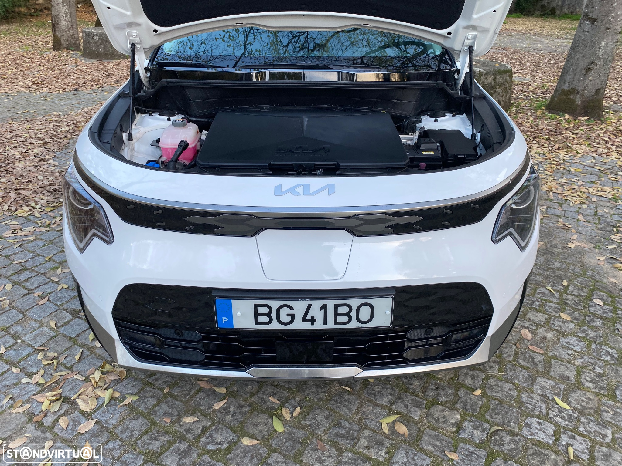 Kia Niro EV 64kWh Tech - 50