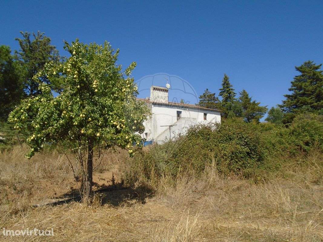 Quinta T5 para venda - Grande imagem: 5/17