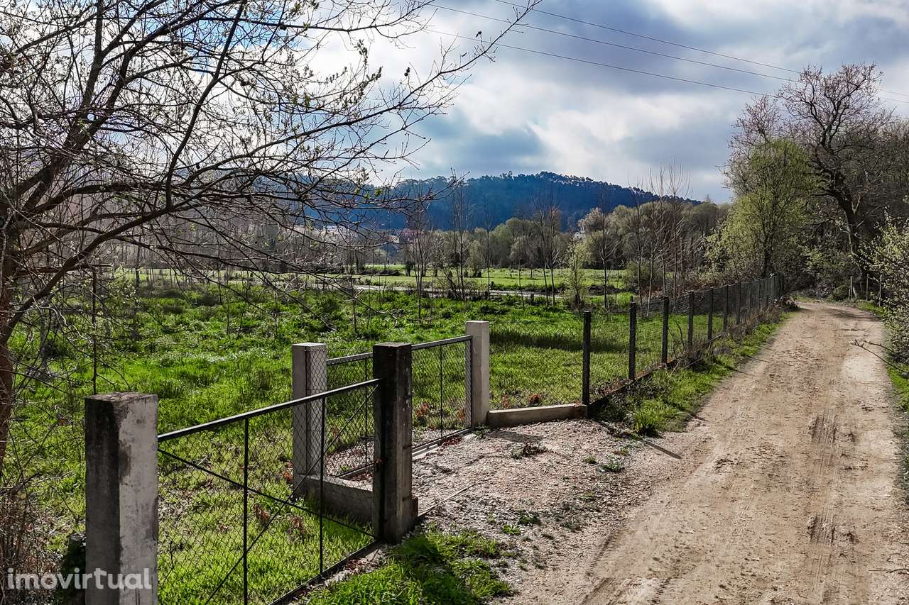 Terreno Rústico  Venda em Associação de freguesias do Vale do Neiva,Po - Grande imagem: 2/22