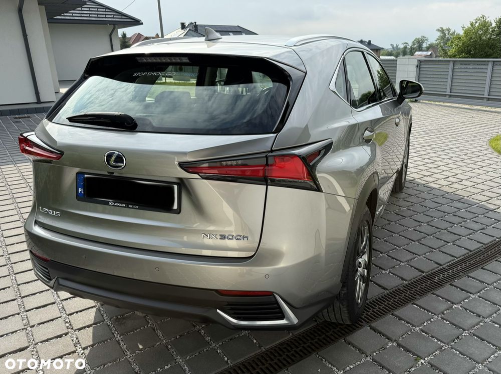 Lexus NX 350h Business AWD - 7
