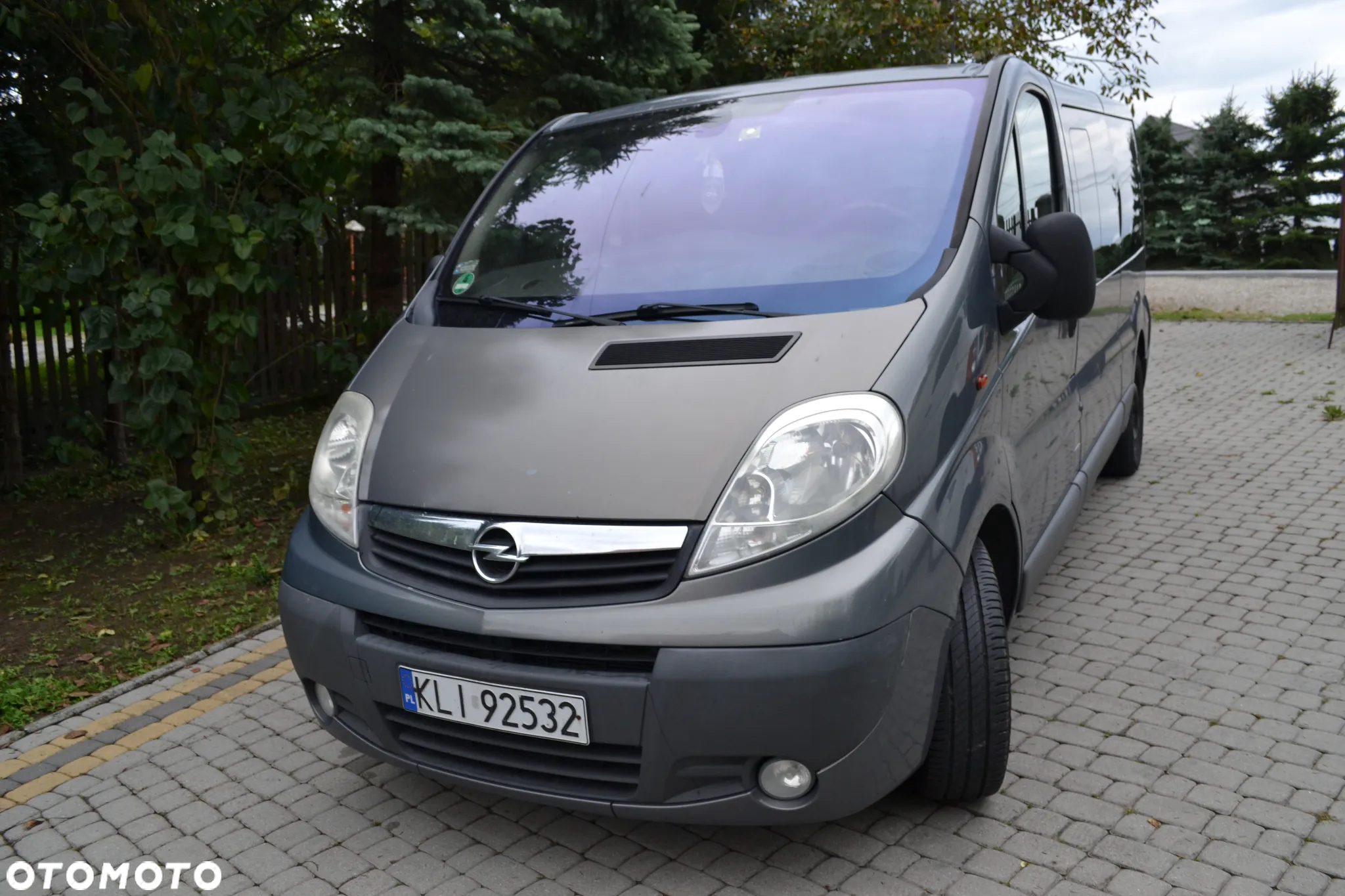 Opel Vivaro L2H1 2.9t Edition - 5