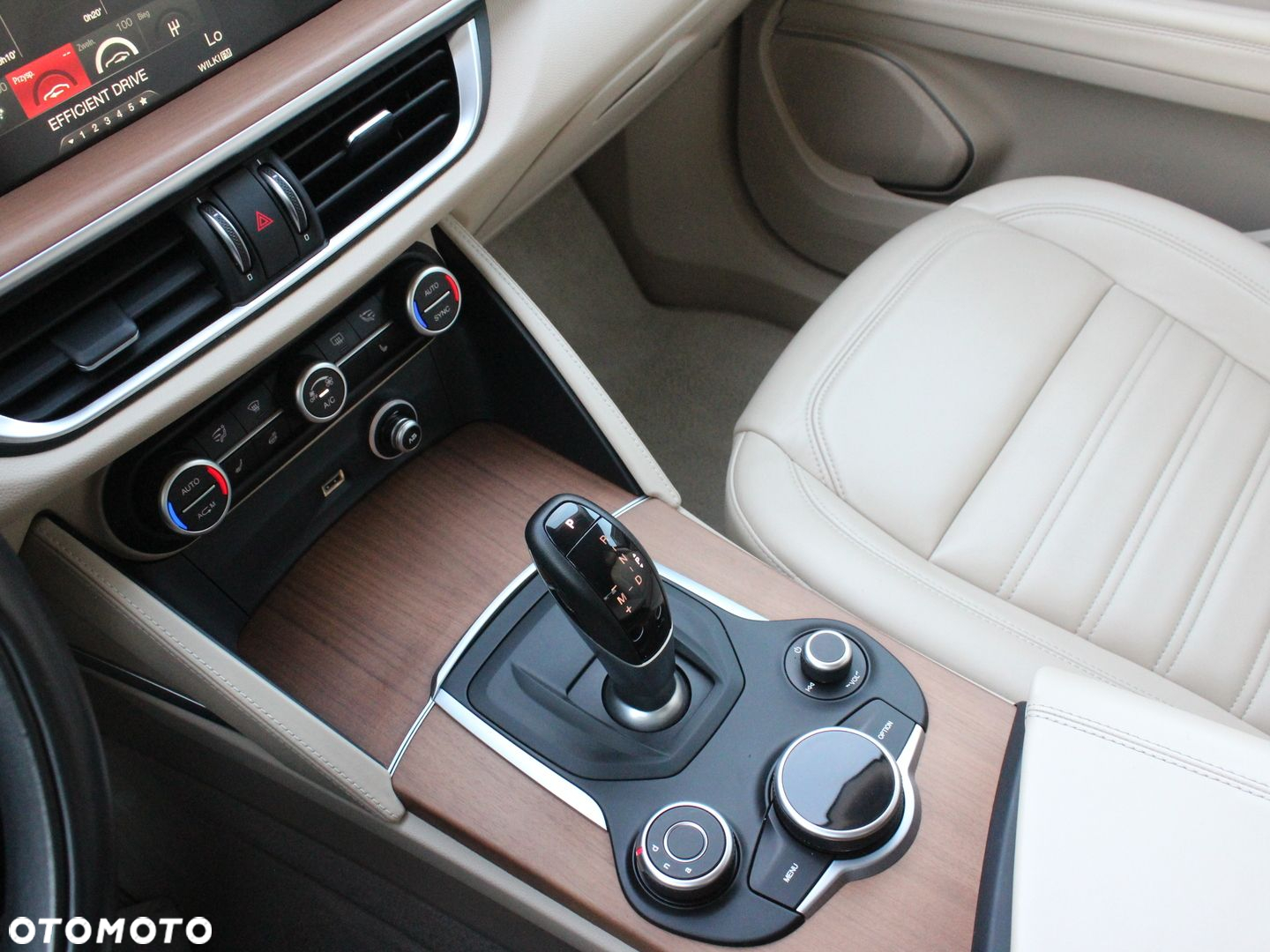 Alfa Romeo Stelvio 2.0 Turbo Super Q4 - 9