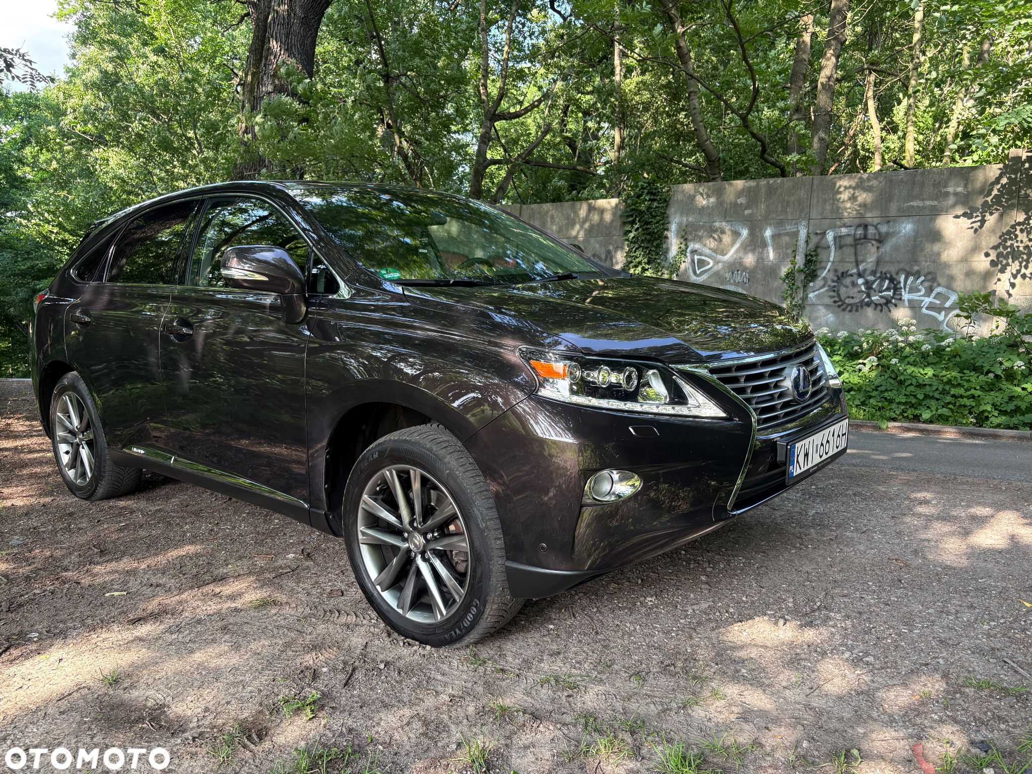 Lexus RX - 8