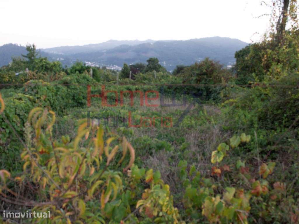 Terreno com Ruína - Grande imagem: 4/40