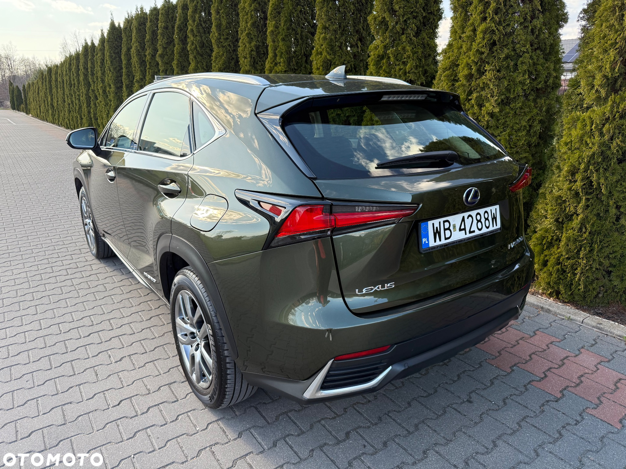 Lexus NX - 16