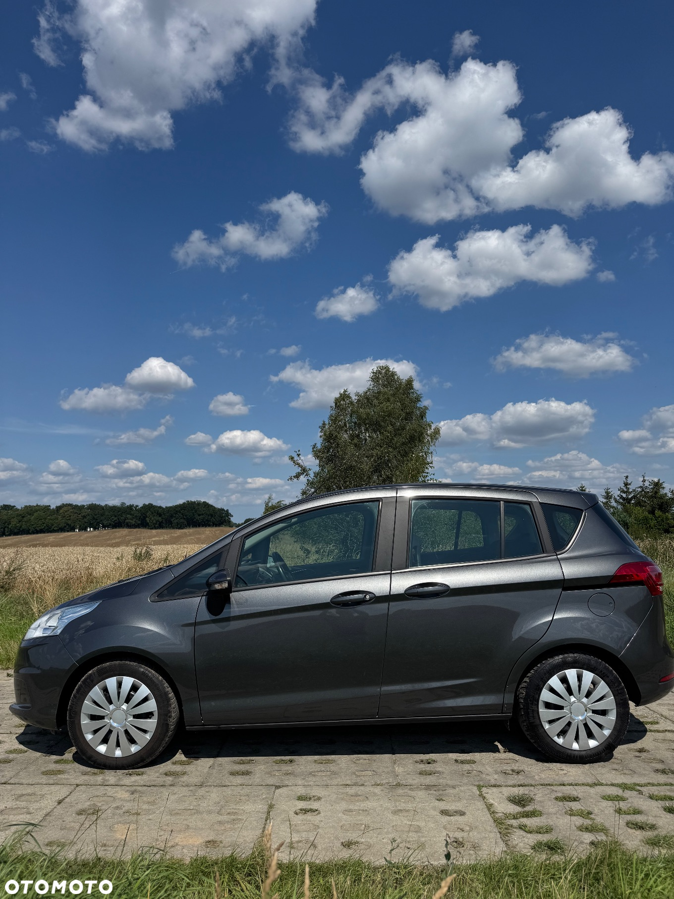 Ford B-MAX - 8