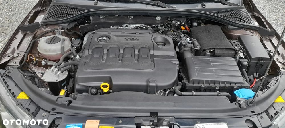 Skoda Octavia 1.6 TDI DPF Ambition Green tec - 6