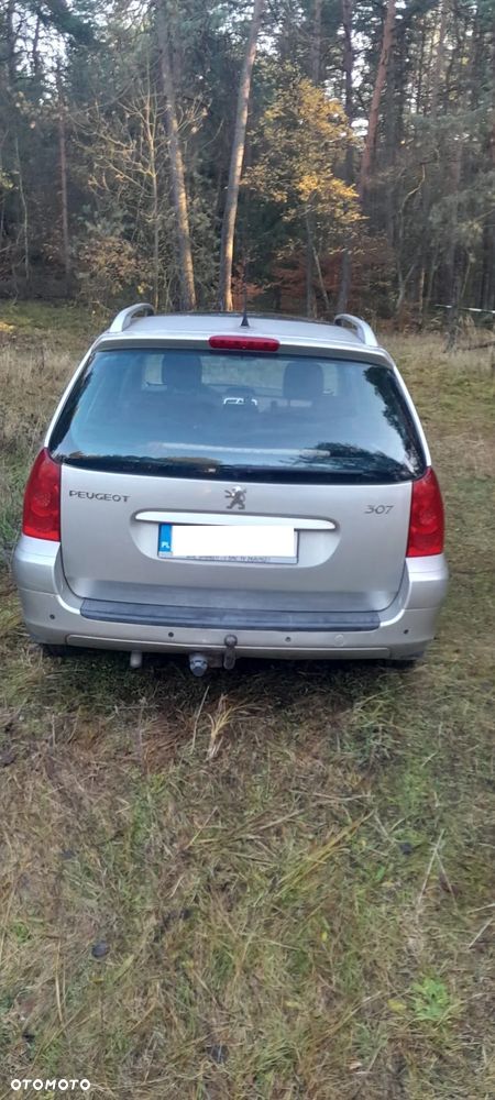 Peugeot 307 1.6 Premium - 10