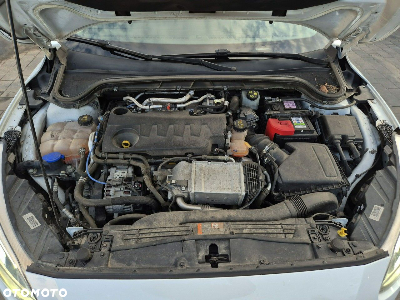 Ford Focus 2.0 TDCi Titanium ASS - 10