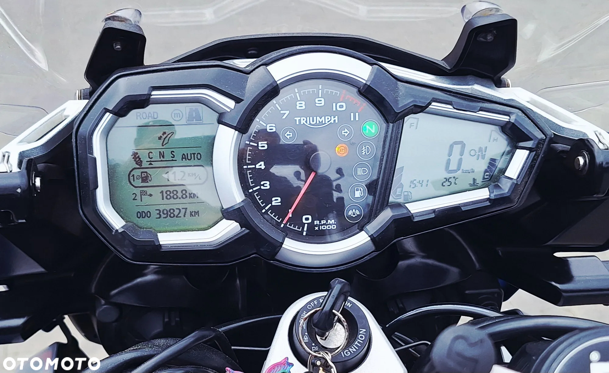 Triumph Tiger - 12