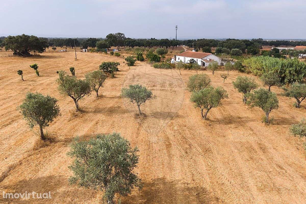 Quinta  para venda - Grande imagem: 5/50