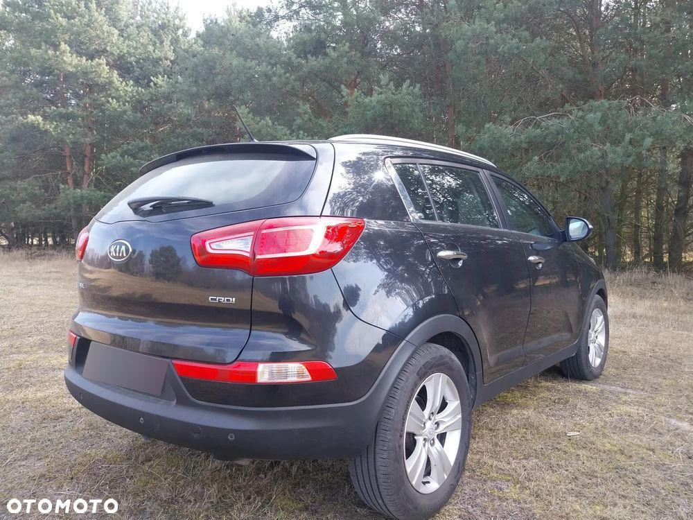 Kia Sportage - 3