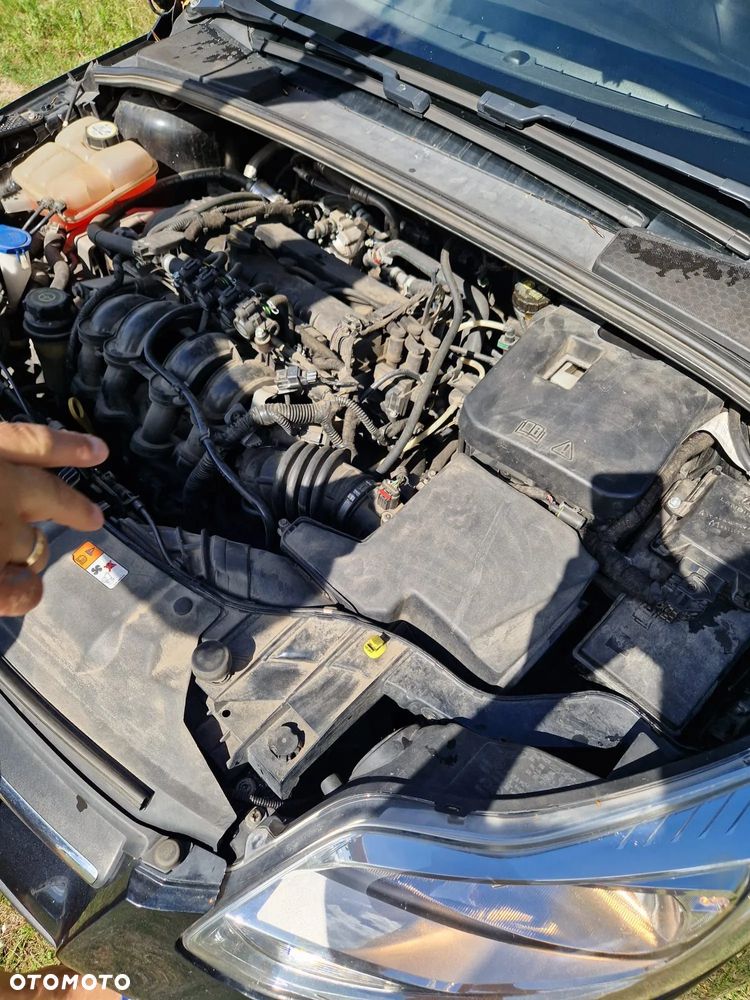 Ford Focus 1.6 TI-VCT Titanium - 5