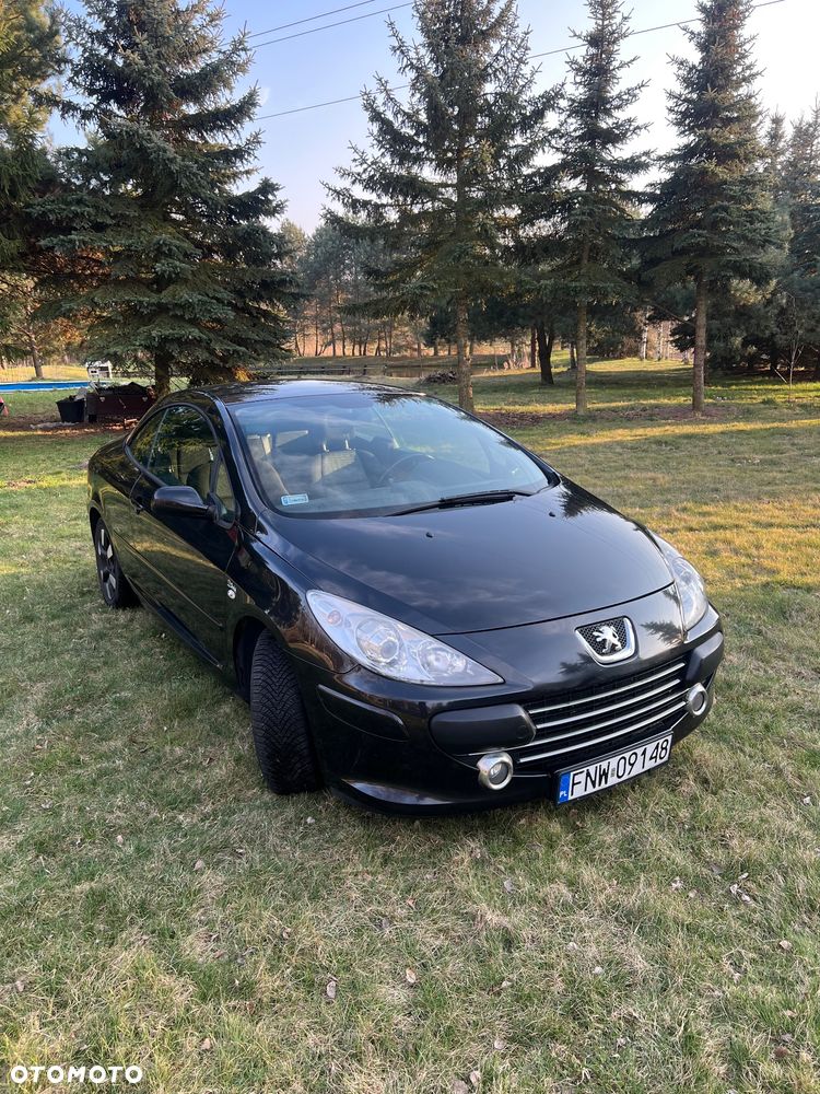 Peugeot 307 CC 1.6 - 6