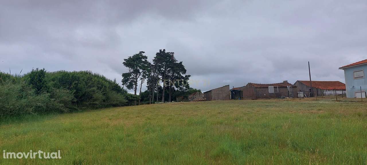 Terreno com Vista Panorâmica em Casal da Eira - Cela Nova, Alcobaça - - Grande imagem: 3/10