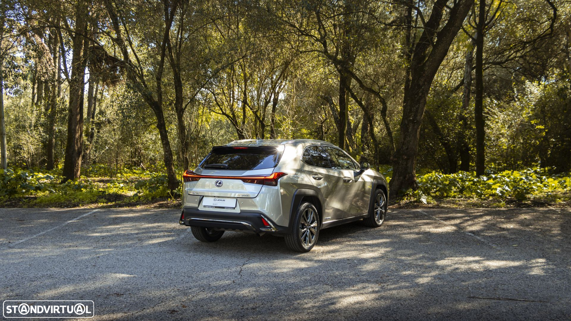 Lexus UX 250h F Sport - 5