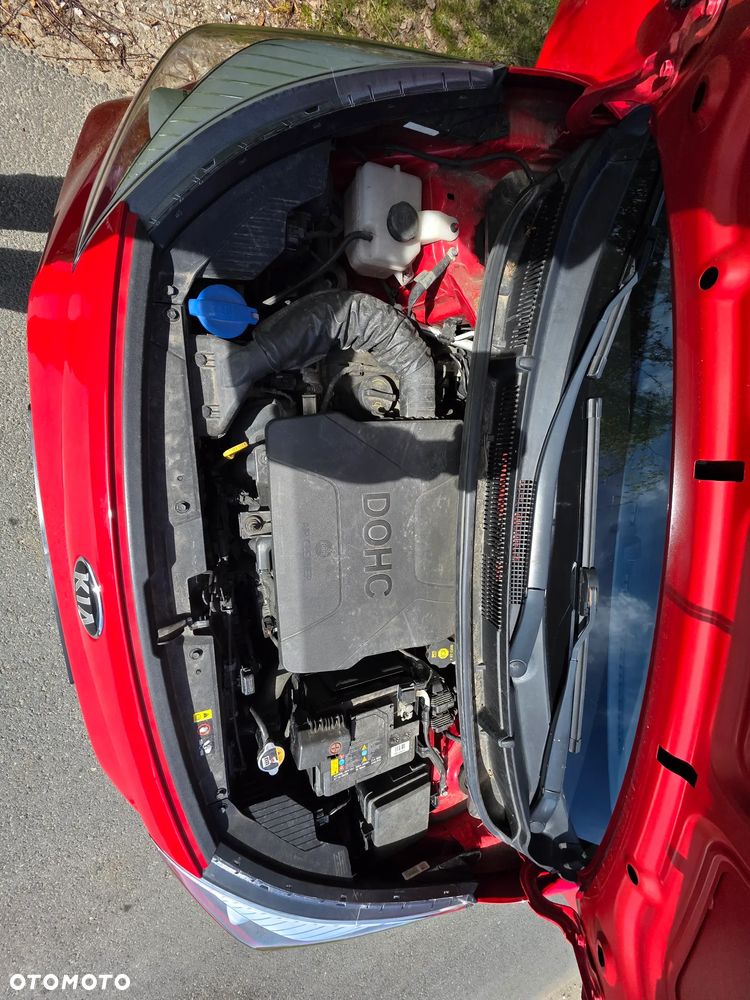 Kia Picanto 1.2 GT Line - 17