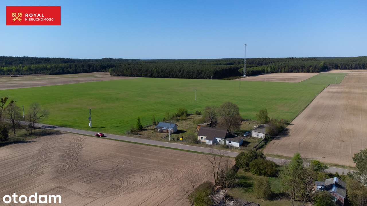 Siedlisko we wsi Lipianki 42 - Pełny obrazek: 2/6