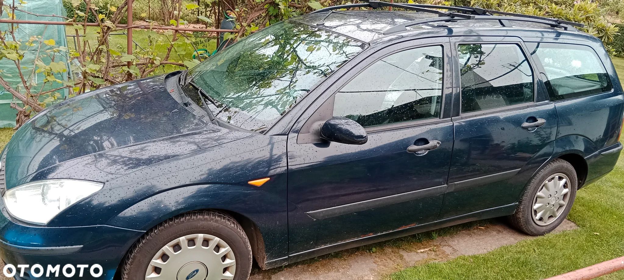 Ford Focus - 1