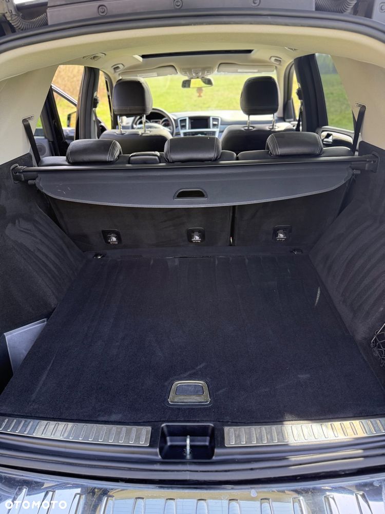 Mercedes-Benz ML 250 BlueTec 4-Matic - 13