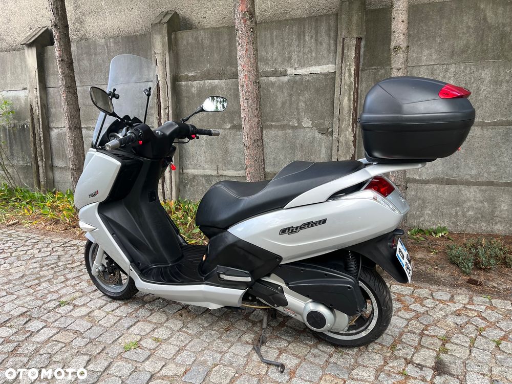 Peugeot Citystar - 15