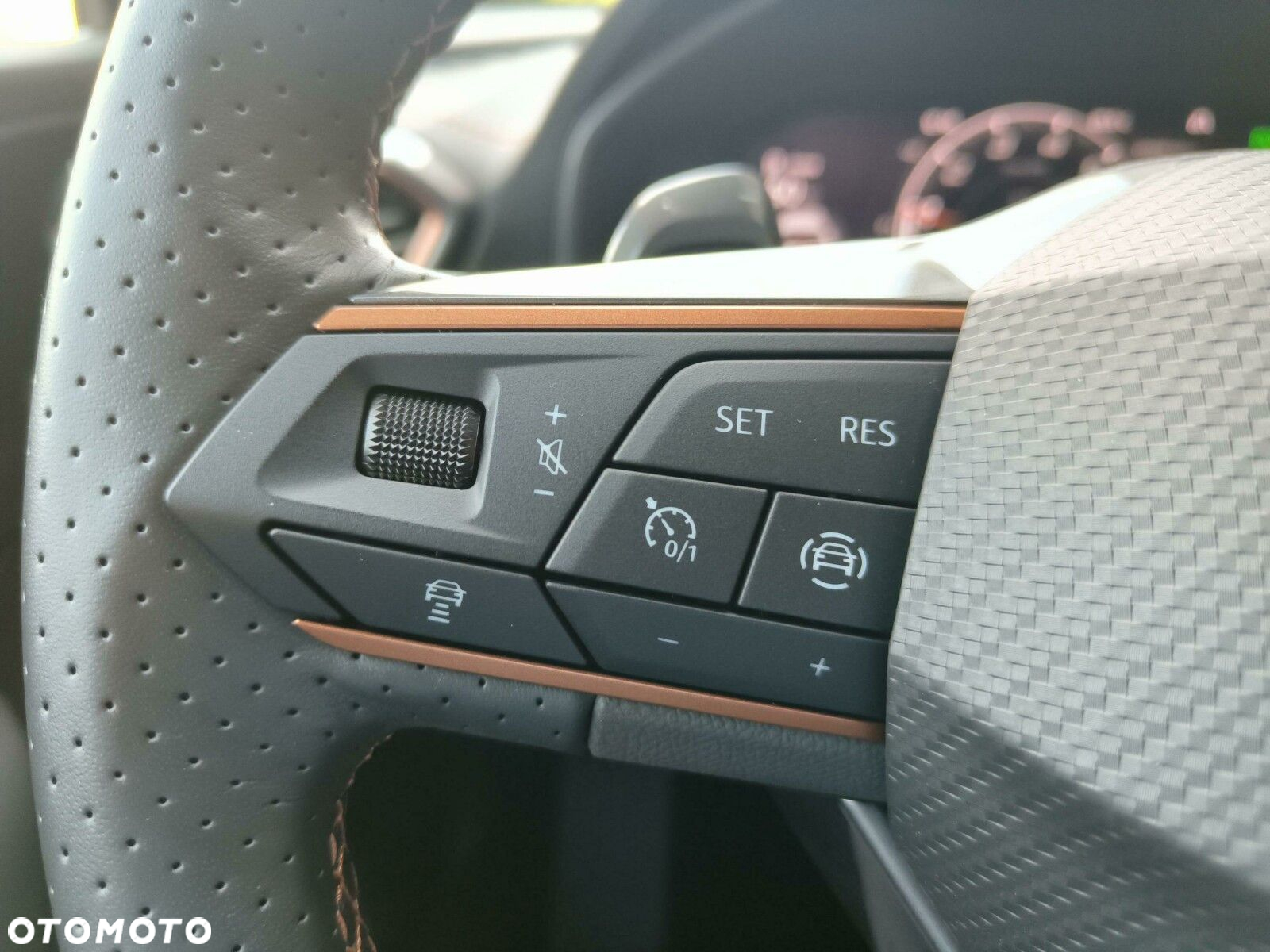Cupra Formentor - 21