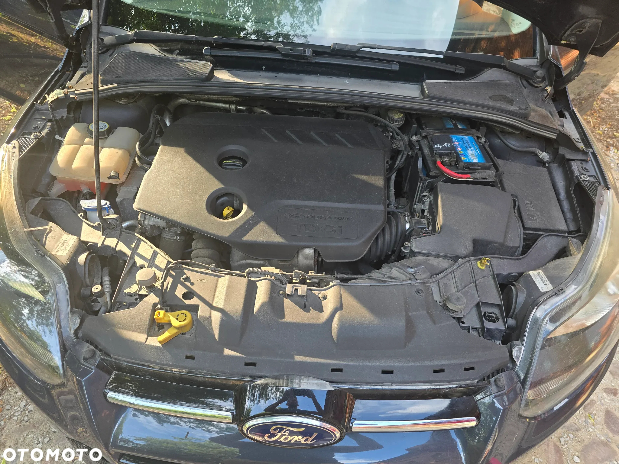 Ford Focus 1.6 TDCi DPF Titanium - 16