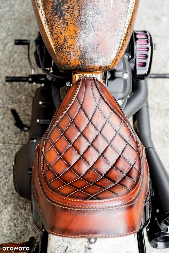 Harley-Davidson Softail - 21