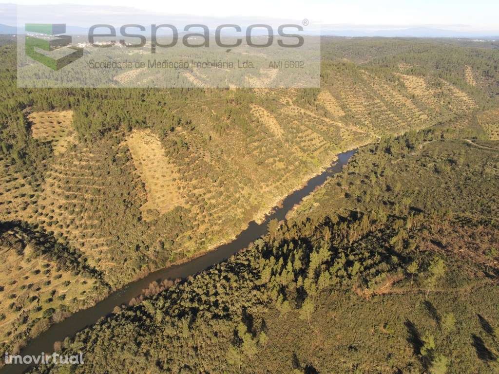 Terreno Rustico a confinar com Rio Ocreza - Grande imagem: 3/12