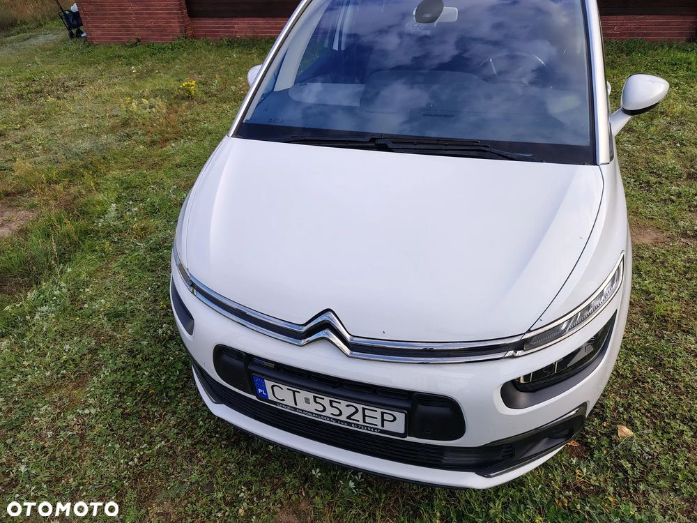 Citroën C4 Picasso 1.2 PureTech MoreLife S&S EAT6 - 2