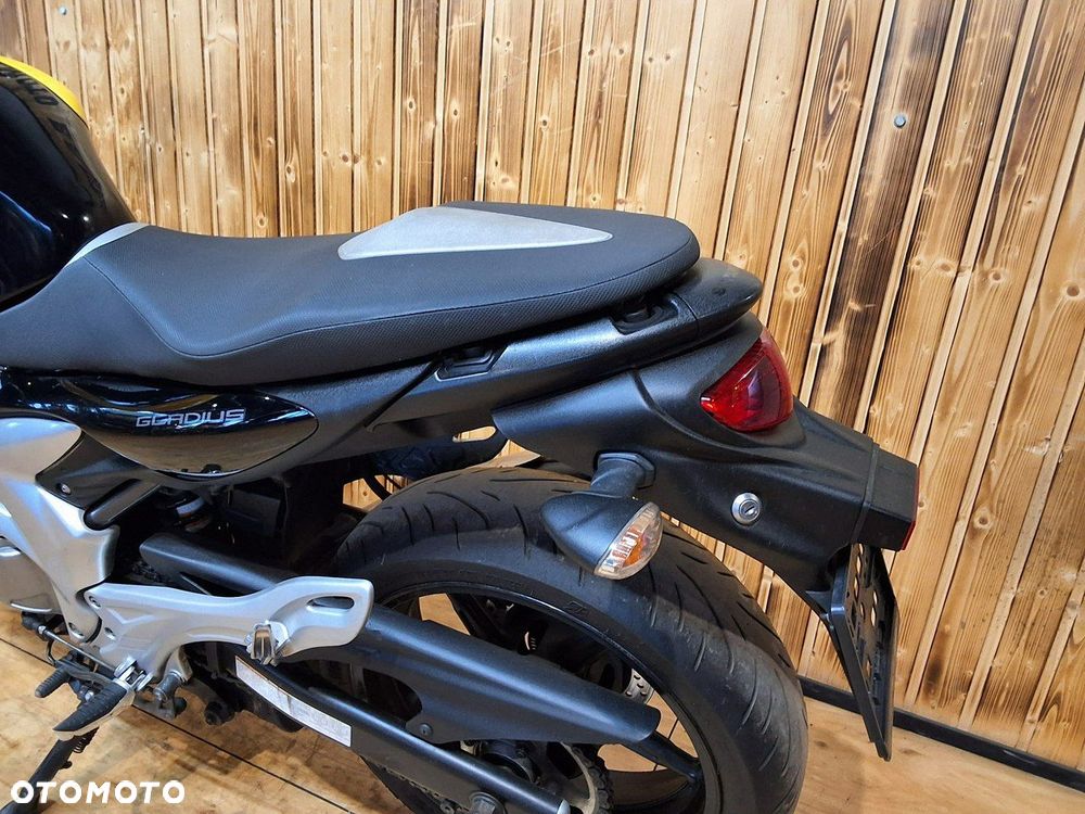 Suzuki Gladius - 12