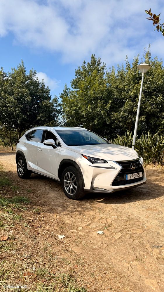 Lexus NX 300h F Sport 4WD - 4