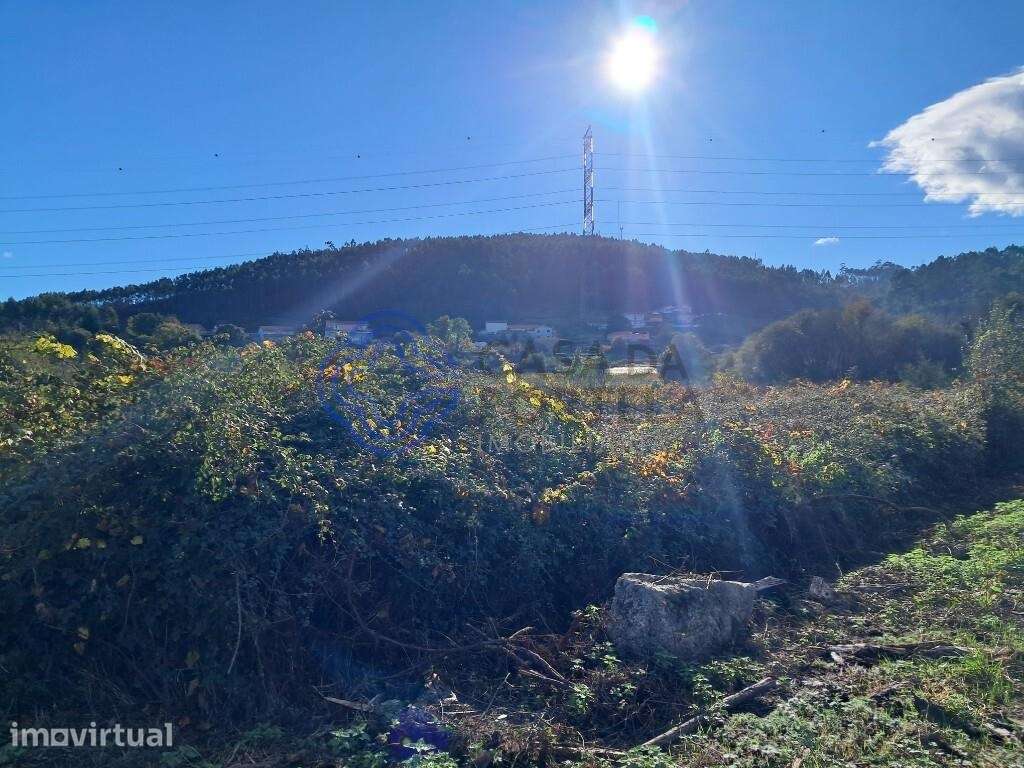 Terreno rústico com 2200m2, não urbanizável - Grande imagem: 4/13