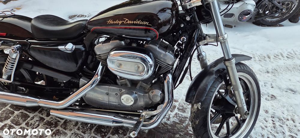 Harley-Davidson Sportster Custom 883C - 27