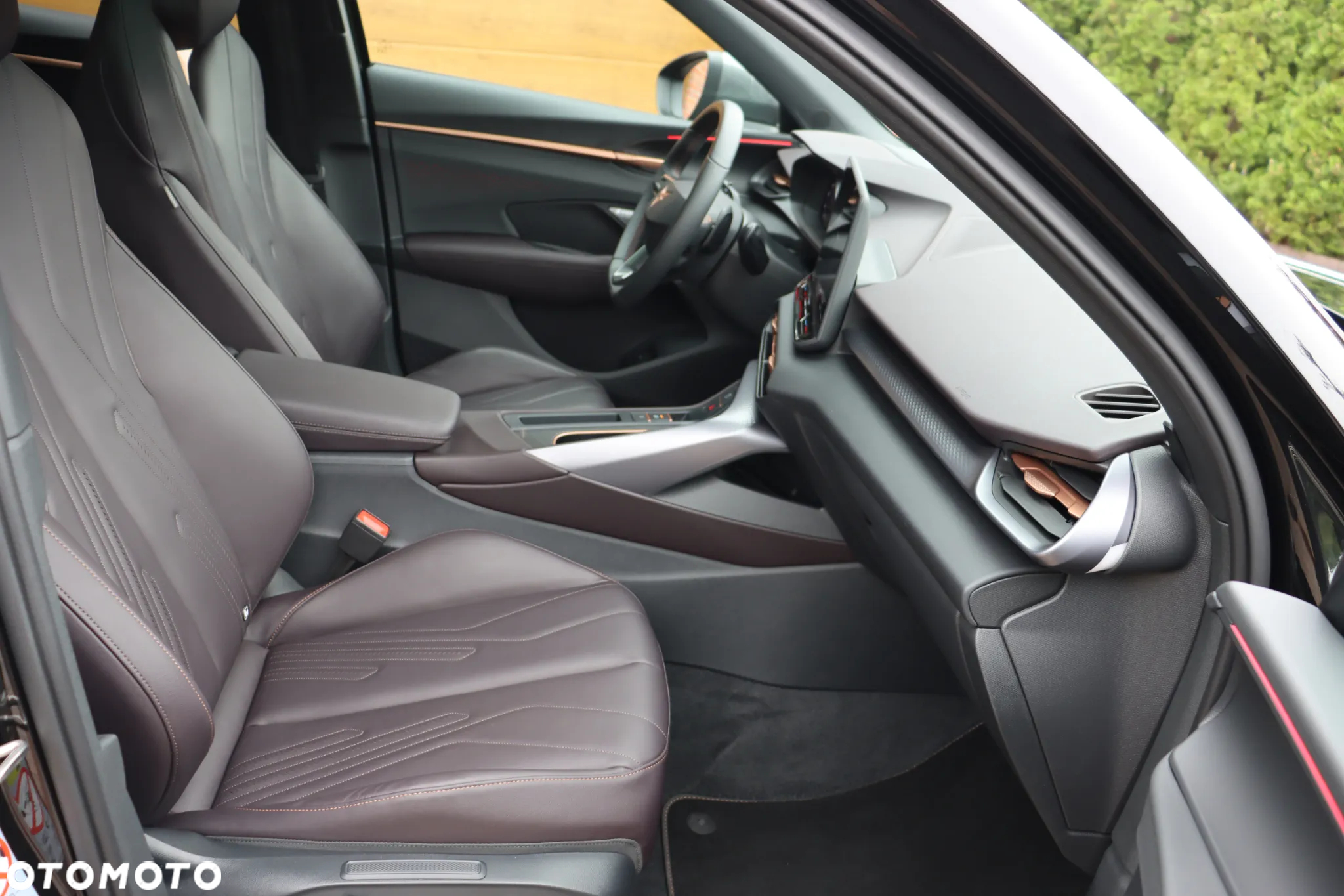 Cupra Terramar - 10