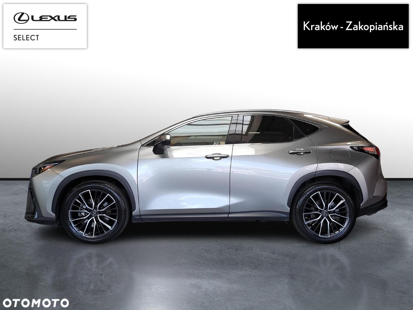 Lexus NX - 4