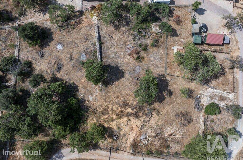 Terreno em Boliqueime - Grande imagem: 3/14